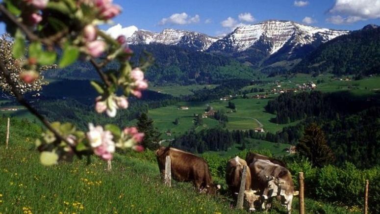 Fewo Alpenbrise, Oberstaufen Kültér fotó